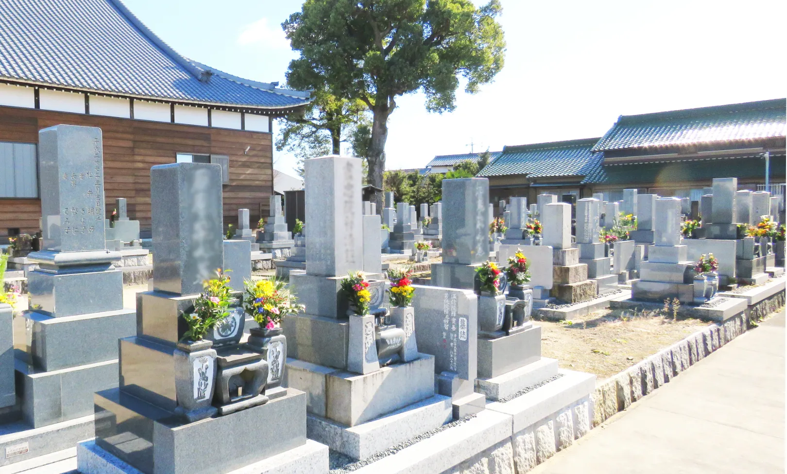 岡崎市の一般墓